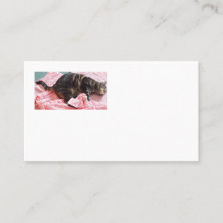 sastre de tarjetas de visita Dave American