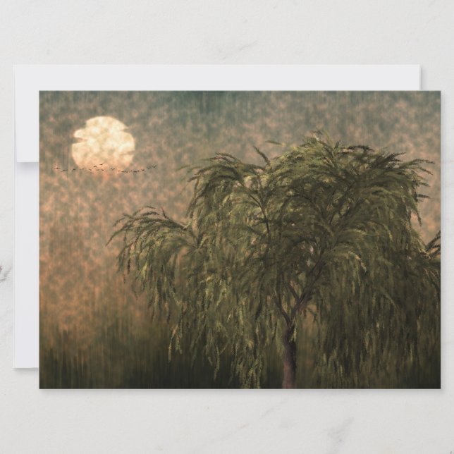 Sauce en el atardecer (Anverso)