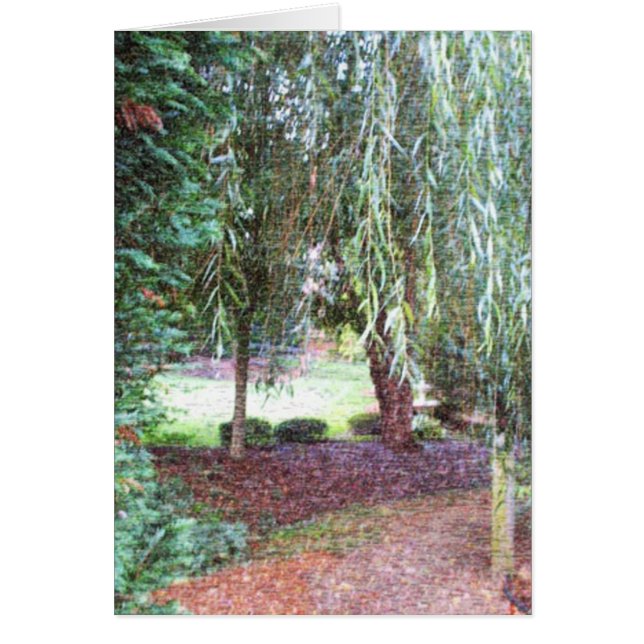 Sauce que llora (Frente)