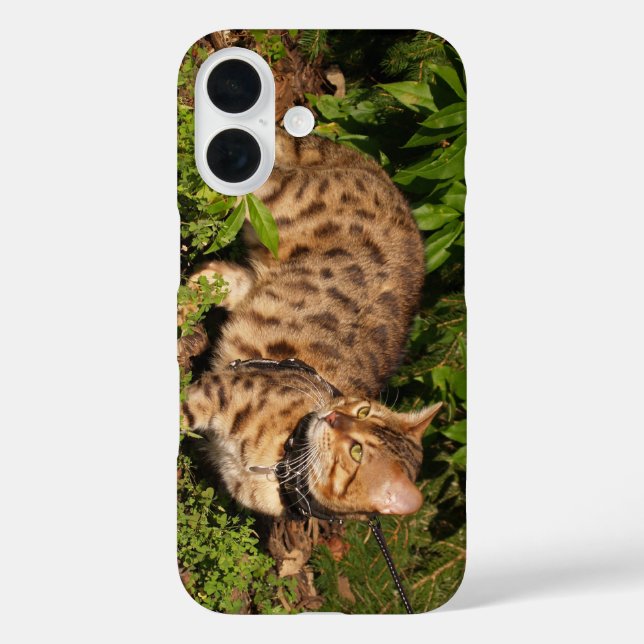 Savannah Cat Funda (Reverso )