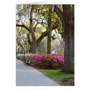 Savannah Georgia en el Parque de la Primavera Fors