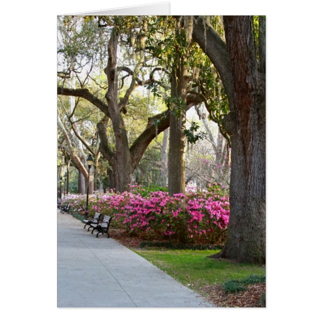 Savannah Georgia en el Parque de la Primavera Fors (Frente)