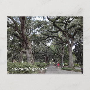 savannah georgia en la postal del parque