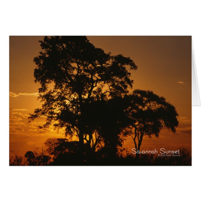 Savannah Sunset (Anverso (Horizontal))