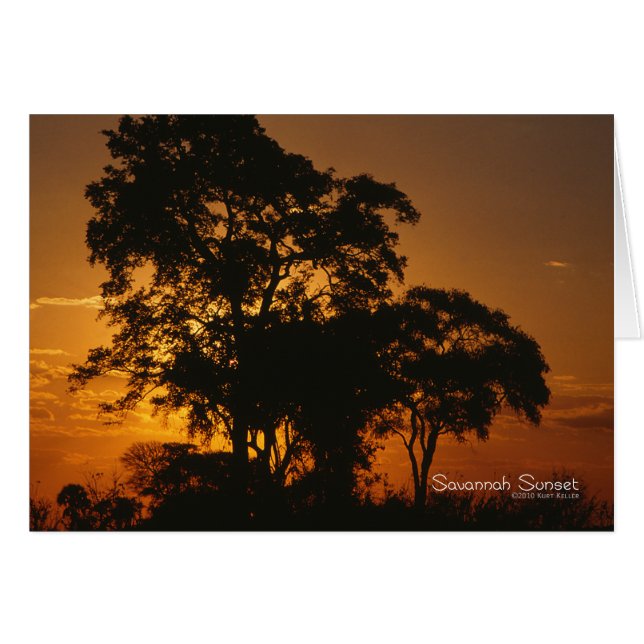 Savannah Sunset (Anverso (Horizontal))