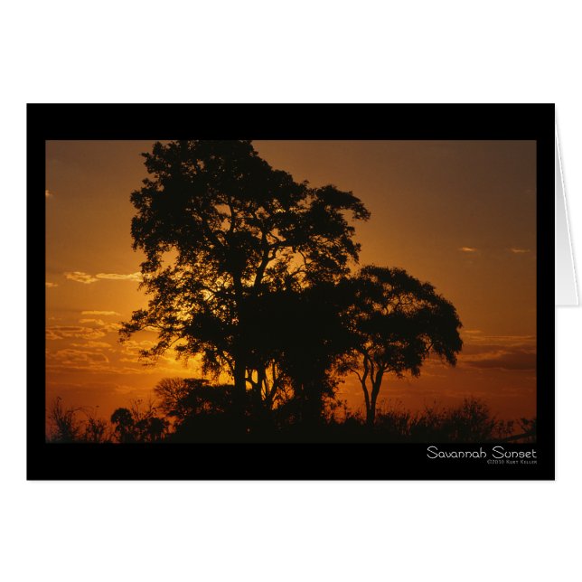 Savannah Sunset Card (Anverso (Horizontal))