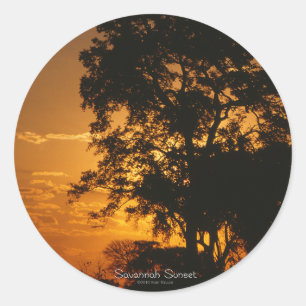 Savannah Sunset Pegatina