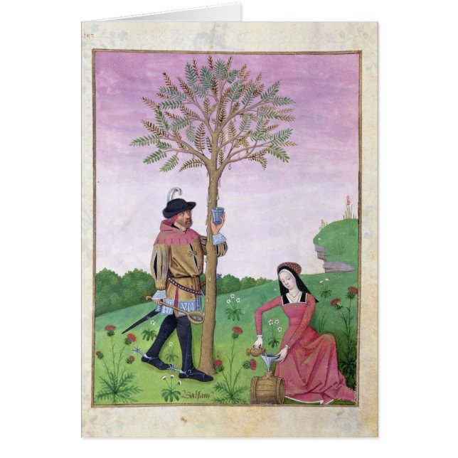 Savia del dibujo de un árbol (Frente)