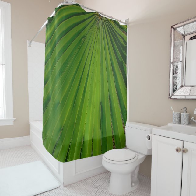 Saw Palmetto Fan Shower Cortina (In situ)