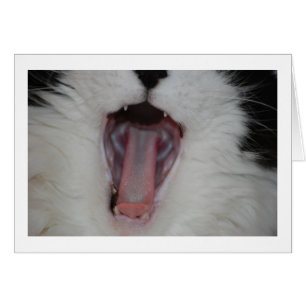 Say Ah/Dentist Humor