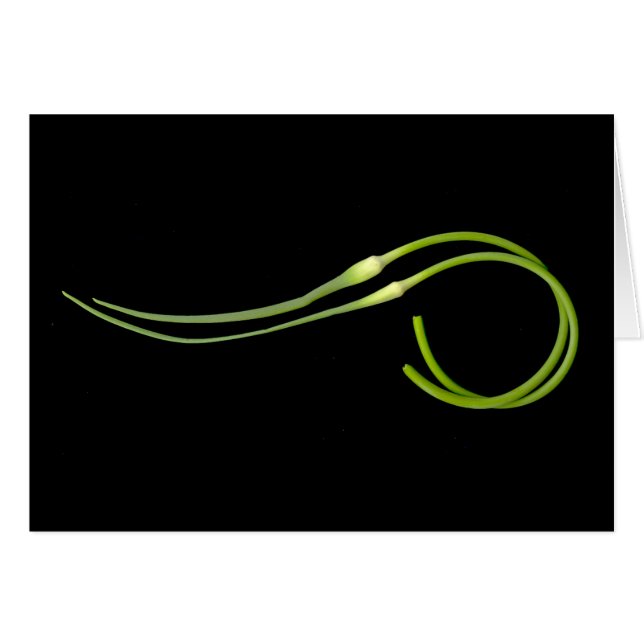 scape del ajo (Anverso (Horizontal))