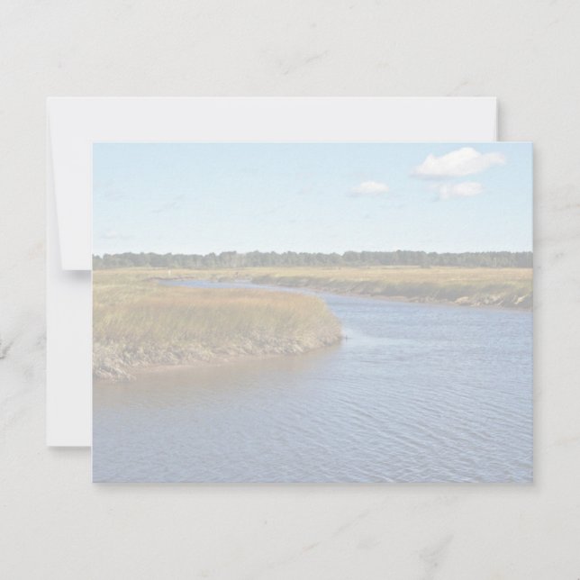 Scarborough Marsh (agua salada) Maine (Anverso)