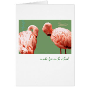 Scarlet Flamingo
