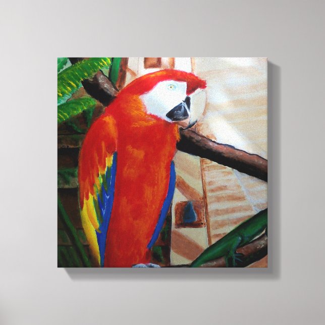 Scarlet Macaw Exótico Arte de la jungla de aves si (Anverso)