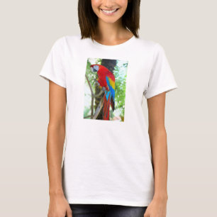 Scarlet Macaw, loro en camiseta femenina