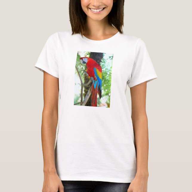 Scarlet Macaw, loro en camiseta femenina (Anverso)