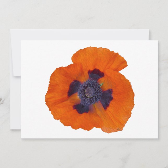 Scarlet Naranja Poppy 1 (Anverso)