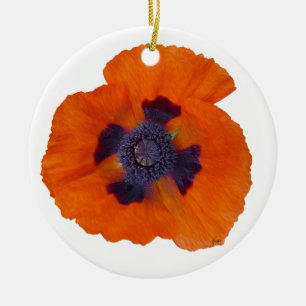 Scarlet Naranja Poppy 1 Ornamento cerámico
