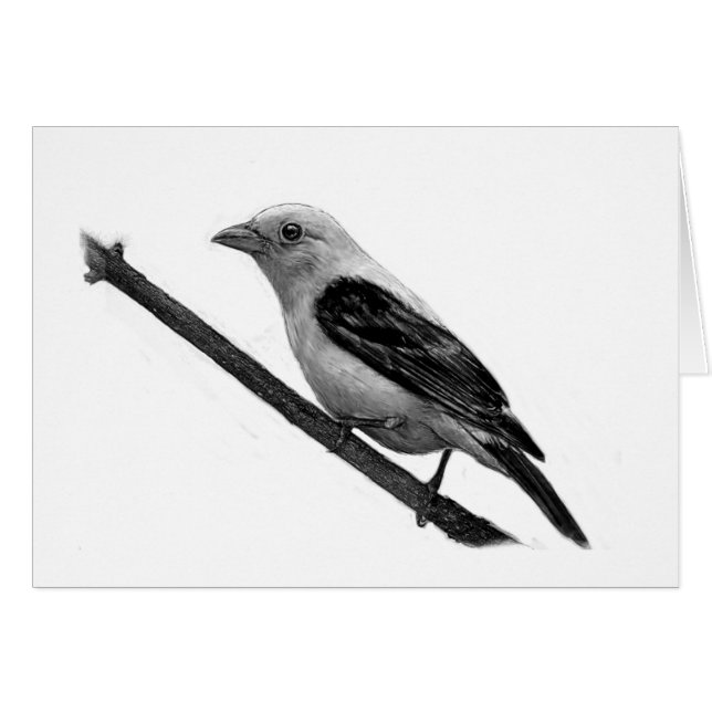 Scarlet Tanager (Anverso (Horizontal))