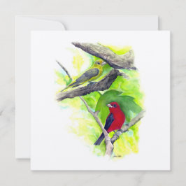 Scarlet Tanager Pareja Arte