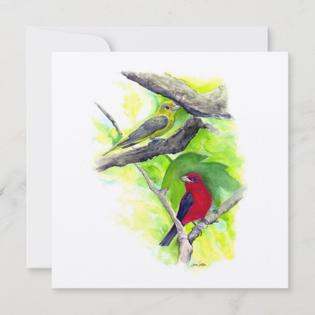 Scarlet Tanager Pareja Arte (Anverso)