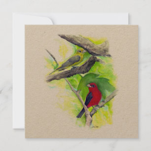 Scarlet Tanager Pareja Arte
