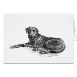 Scarlett el laboratorio negro