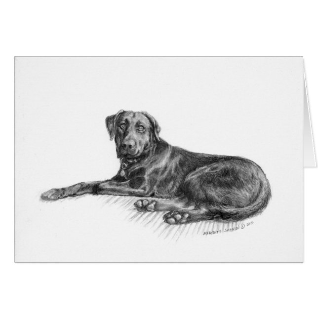 Scarlett el laboratorio negro (Anverso (Horizontal))