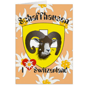 Schaffhausen Schweiz Suisse Svizzera Grusskarte