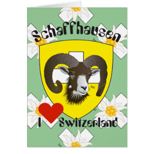 Schaffhausen Schweiz Suisse Svizzera Grusskarte