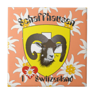 Schaffhausen - Suiza Suisse - Svizzera baldosa