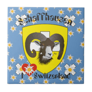 Schaffhausen - Suiza Suisse - Svizzera baldosa