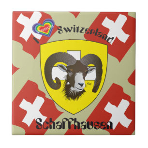 Schaffhausen - Suiza Suisse - Svizzera baldosa