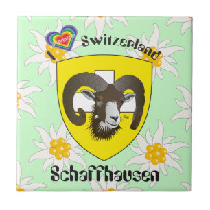 Schaffhausen - Suiza Suisse - Svizzera baldosa