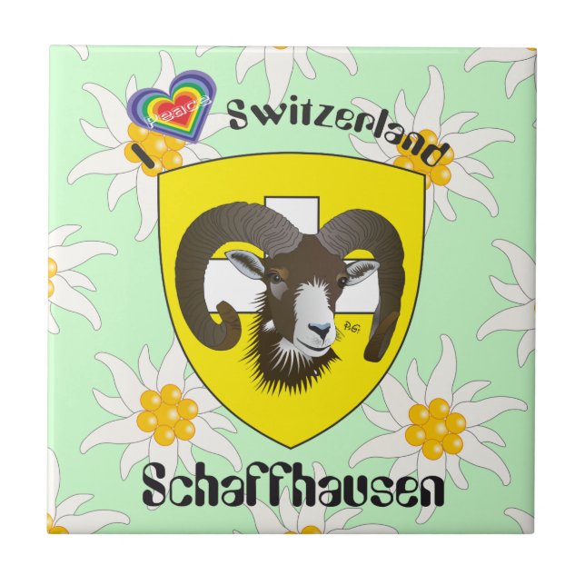 Schaffhausen - Suiza Suisse - Svizzera baldosa (Frente)