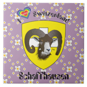 Schaffhausen - Suiza Suisse - Svizzera baldosa
