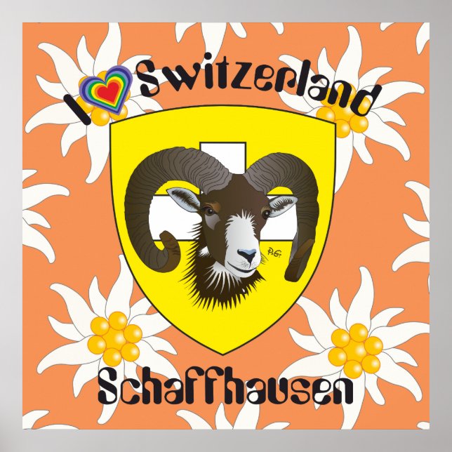 Schaffhausen - Suiza Suisse - Svizzera póster (Frente)
