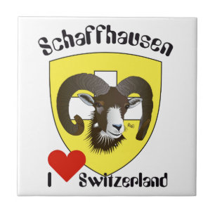 Schaffhausen Suiza Suisse Svizzera Svizra baldosa