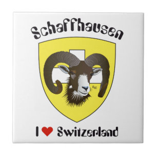 Schaffhausen Suiza Suisse Svizzera Svizra baldosa