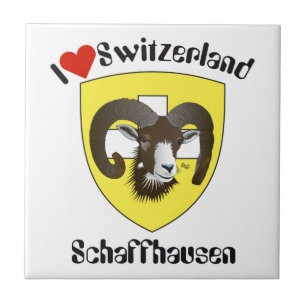 Schaffhausen Suiza Suisse Svizzera Svizra baldosa