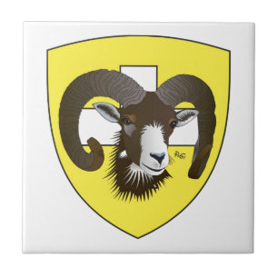 Schaffhausen Suiza Suisse Svizzera Svizra baldosa