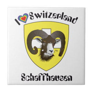 Schaffhausen Suiza Suisse Svizzera Svizra baldosa