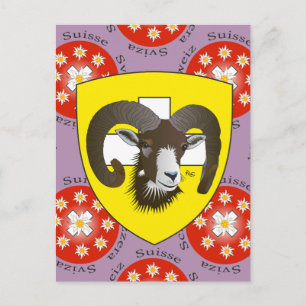 Schaffhausen Suiza tarjeta postal