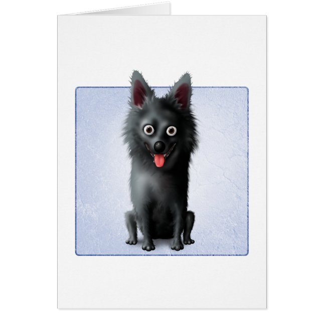 Schipperke (Frente)