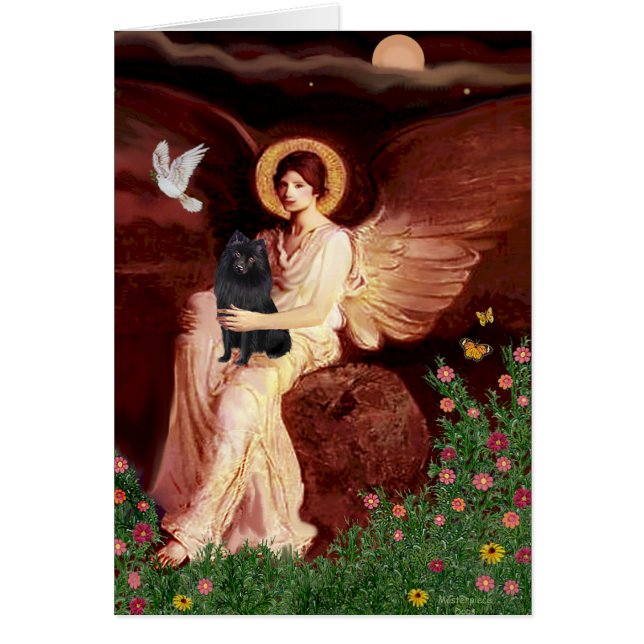 Schipperke 2 - Ángel sentado (Frente)
