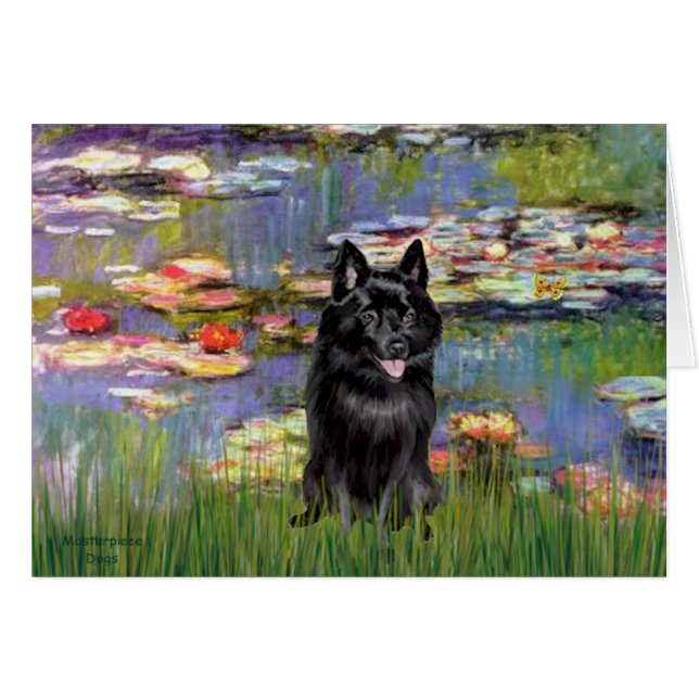 Schipperke 4 - Lilies 2 (Anverso (Horizontal))