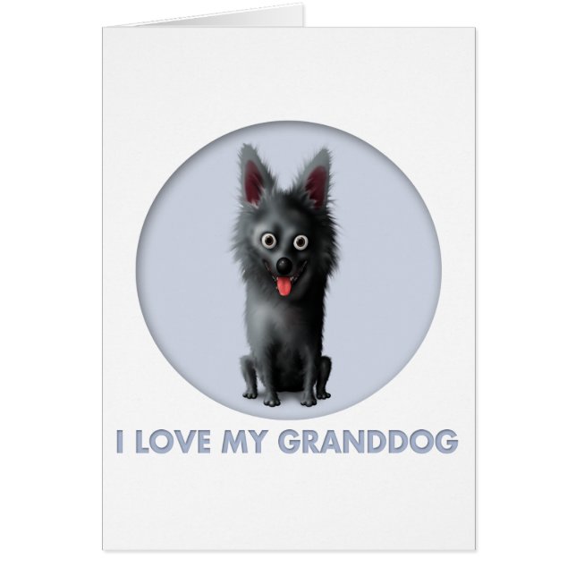 Schipperke Granddog (Frente)