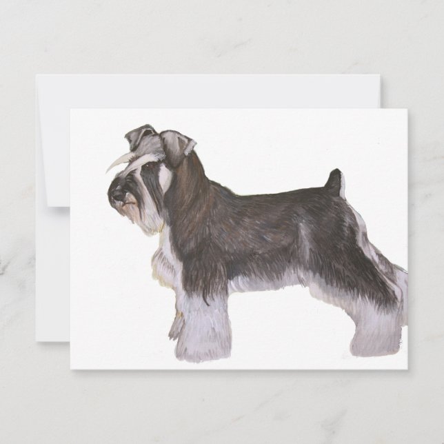 Schnauzer (Anverso)