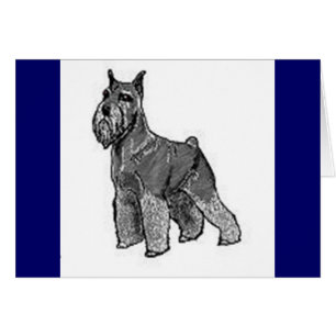 Schnauzer