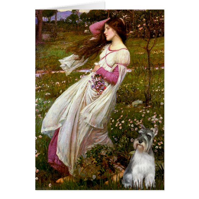 Schnauzer 11N - Flores de viento (Frente)